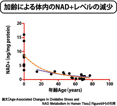 マウスのNAD＋レベルの変化