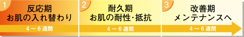 お肌の改善プロセス