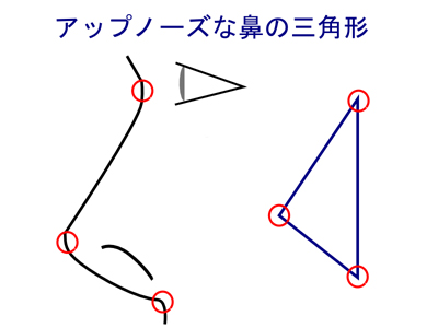 アップノーズな鼻の三角形