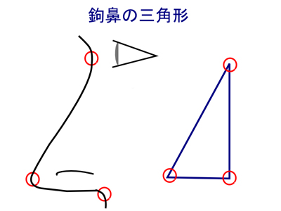 鉤鼻の三角形