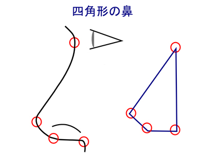 四角形の鼻