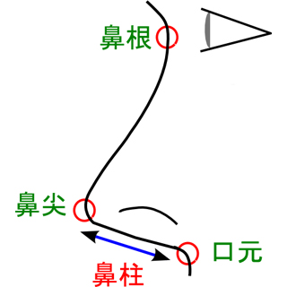 三角形の鼻を四角形にするためには鼻注を変える必要がある