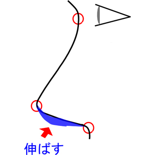 鼻柱を斜め下方に伸ばす