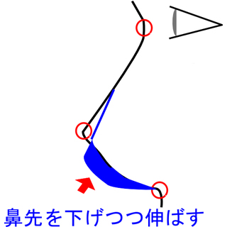 鼻先を下げつつ伸ばす